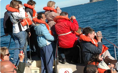 Avistaje de Ballenas en Patagonia