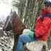 M�s all� del horizonte