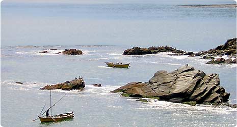 Fuertes y castillos de Valdivia