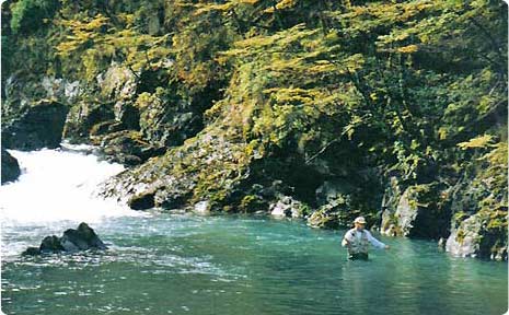 Pesca con mosca con Calafate Fishing