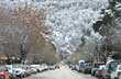 Lleg� el invierno - Foto: Santiago Gaudio