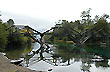Puente viejo Ruca Malen, ruta 7 Lagos - Foto: Jorge Gonz�lez