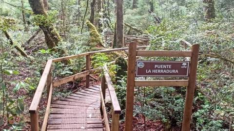 Monumento Natural Lahuen Ñadi