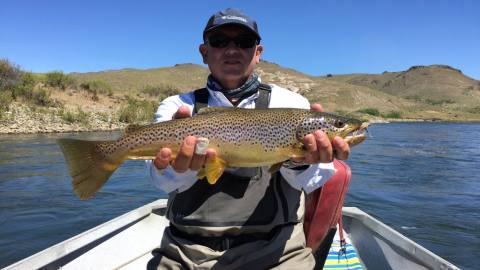 Paseos privados en lago Lacar y Lolog