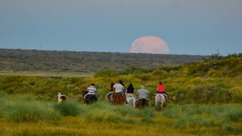 Turismo Rural en La Mundano: Un Escape a la Naturaleza Patagónica