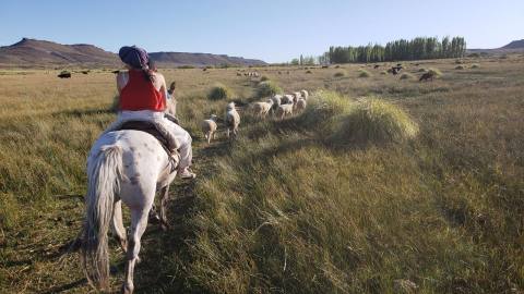 Turismo Rural en La Mundano: Un Escape a la Naturaleza Patagónica