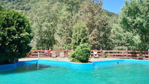 Swimming pool in summer