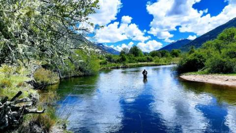 Pesca Deportiva