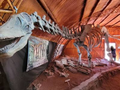 Museos Centro Paleontológico Lago Barreales