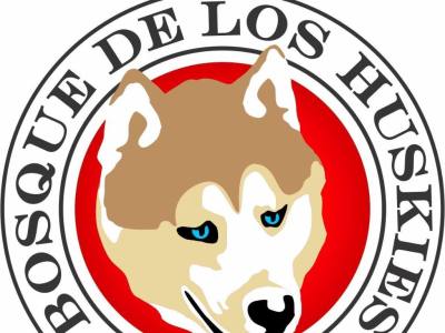 Travesías/expediciones con Trineo de Perros Bosque de los Huskies