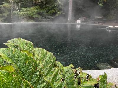 Hot Springs Termas de Panqui