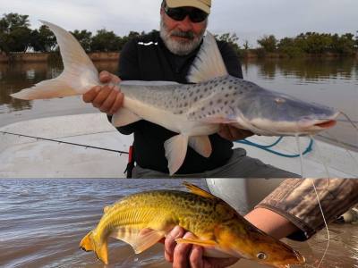 Fishing Outings Gray Fly