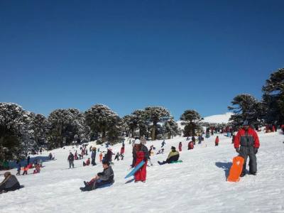 Alquiler de Ski El Rafa