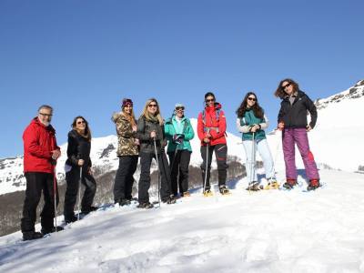 Sled Rides Bosque de los Huskies