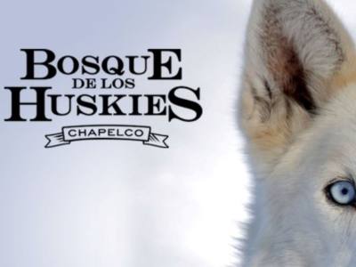 Sled Rides Bosque de los Huskies