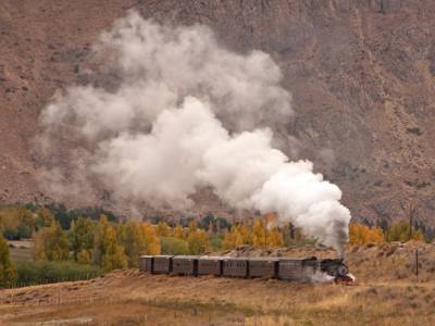 Trenes Turísticos La Trochita-Viejo Expreso Patagónico