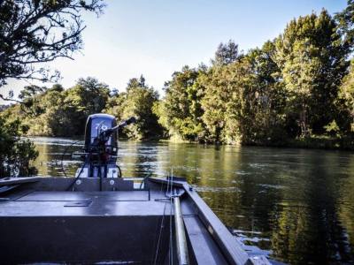 Fishing Outings Wild River Chile fly fishing lodge & cabines