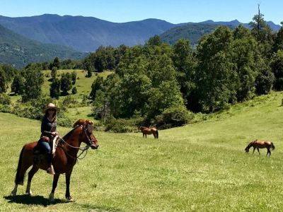 Cabalgatas Huepil Malal