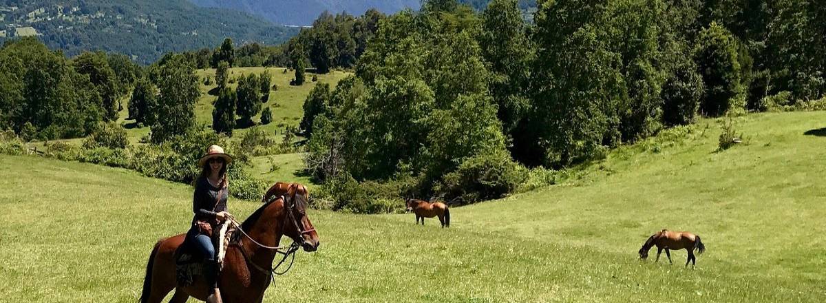 Cabalgatas Huepil Malal