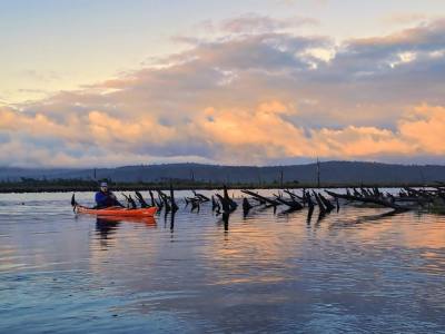 Tourist Services Operators Chiloe Natural