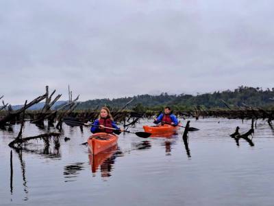 Tourist Services Operators Chiloe Natural