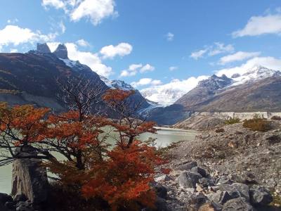 Travel and Tourist Agency Lord Patagonia