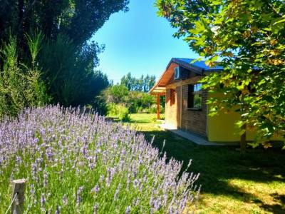 Cabins Mágica Luna