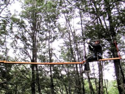 Zip-Line Canopy Pro