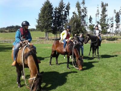 Travel and Tourist Agency Turismo Lago Llanquihue