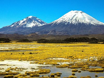 Travel and Tourist Agency Birds Chile