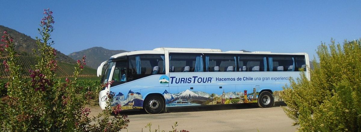 Travel and Tourist Agency Turistour