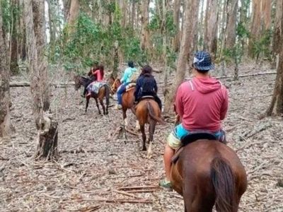 Horseback Riding Trips Alanca