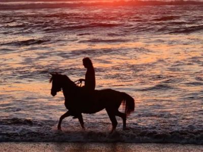 Horseback Riding Trips Alanca