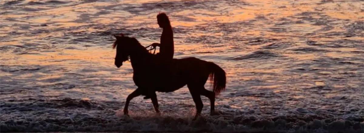 Horseback Riding Trips Alanca