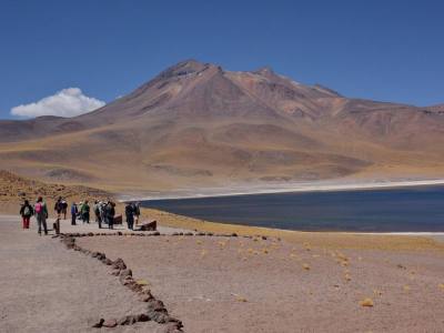 Travel and Tourist Agency Visit Chile