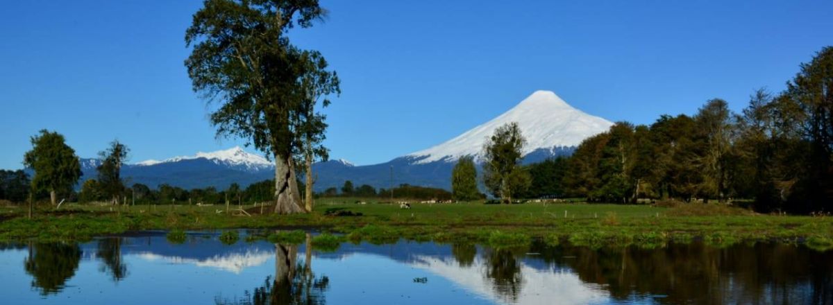 Tourist Services Operators Patagonia Austral