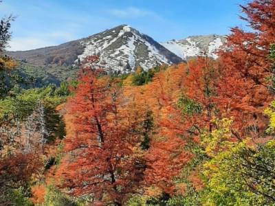 Agencias de viajes y turismo A Orillas del Lago