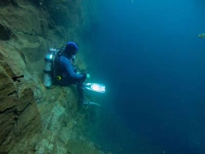 Diving Ardilla Buceo