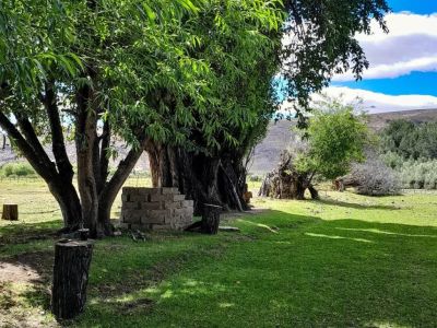 Camping Sites Camping La Abuela Negra