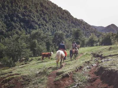 Cabalgatas Rancho Carhuello - Cabalgatas