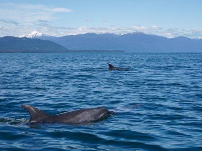 Operadores de Servicios Turísticos Drakkar Turismo Patagonia