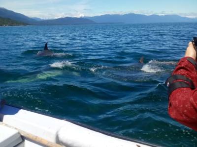 Operadores de Servicios Turísticos Drakkar Turismo Patagonia