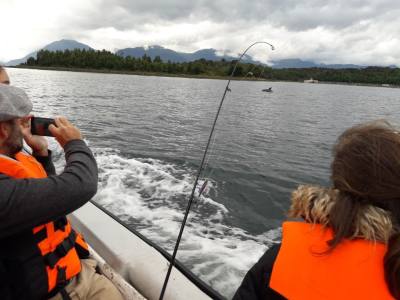 Operadores de Servicios Turísticos Drakkar Turismo Patagonia