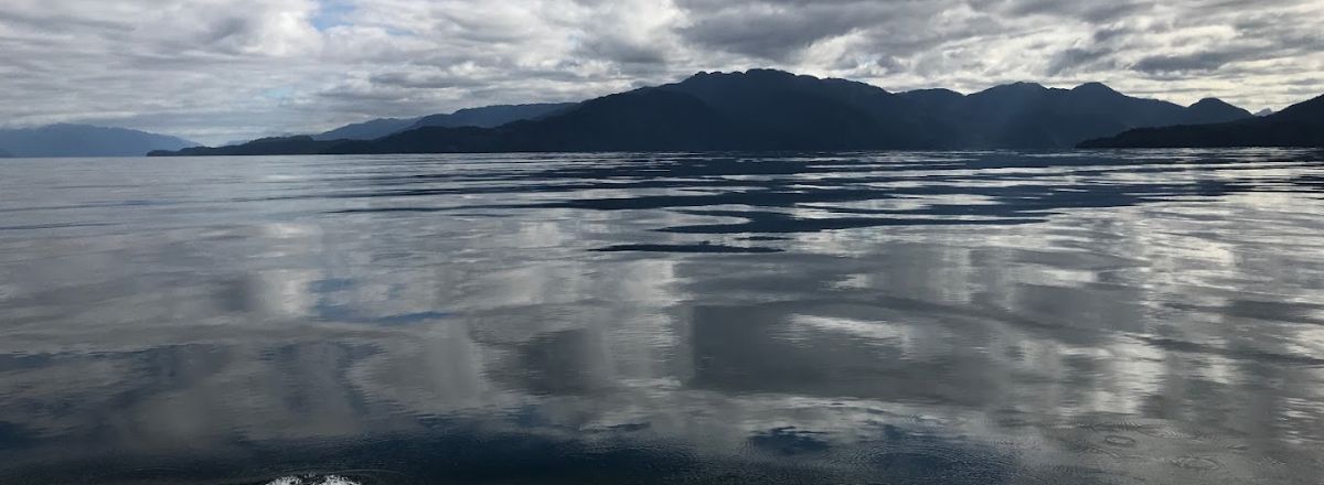 Operadores de Servicios Turísticos Drakkar Turismo Patagonia