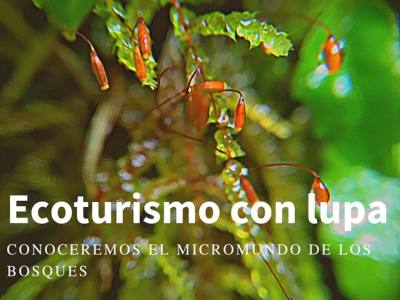 Adventure Travel Explora Cisnes