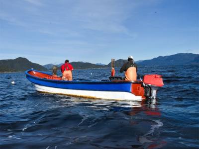 Tourist Services Operators Albatrosur Patagonia