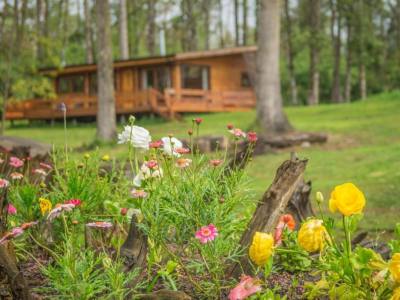 Cabins Los Lingues Lodge