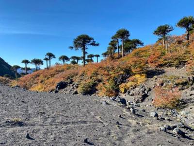 Hospedajes Villarrica Traverse