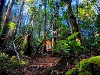 Cabins Cabañas Alto del Bosque