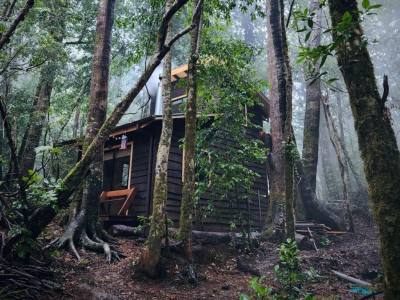 Cabins Cabañas Alto del Bosque